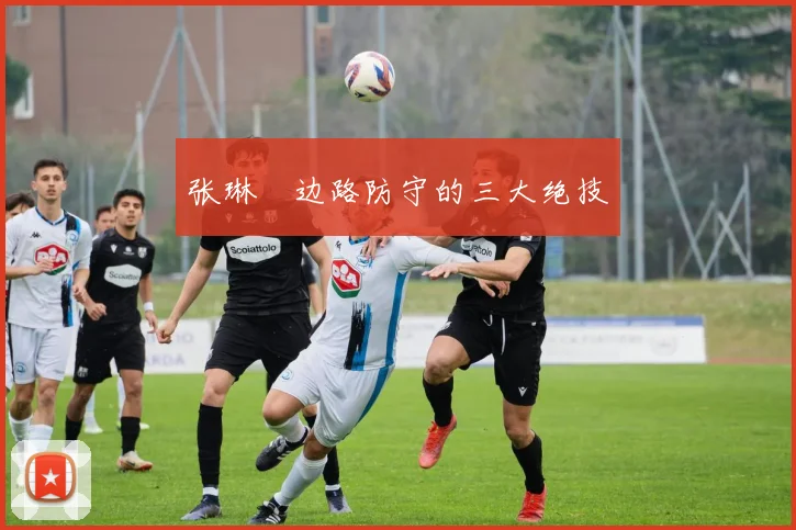张琳芃边路防守的三大绝技